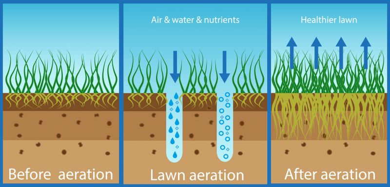 Lawn Damage Prevention