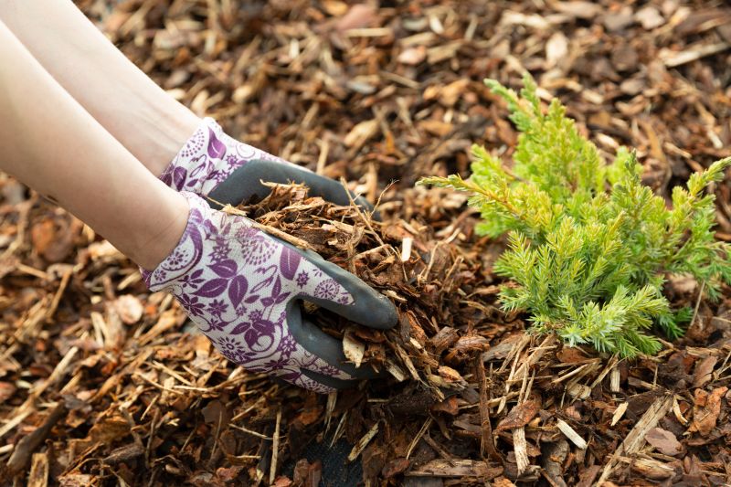 Mulching Leaves Effectively