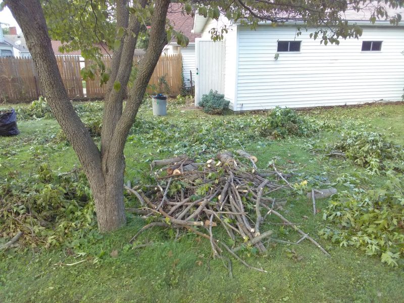 Post-Removal Yard