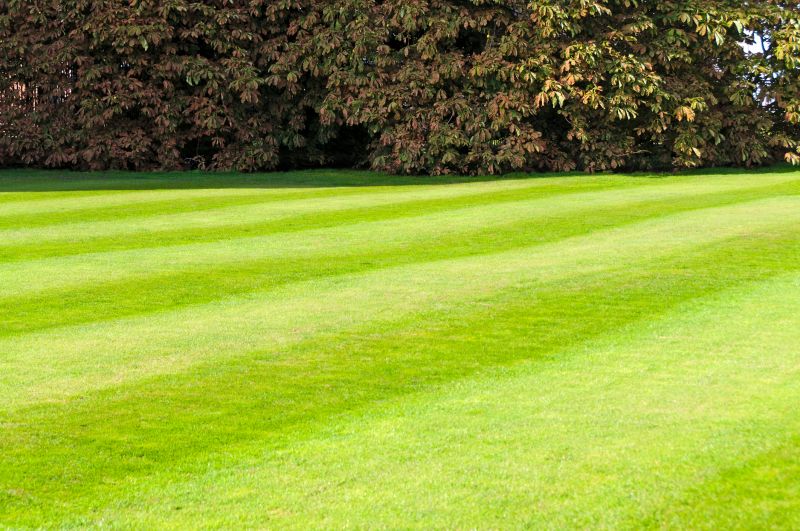 Commercial Lawn Maintenance
