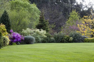 Spring Lawn Maintenance