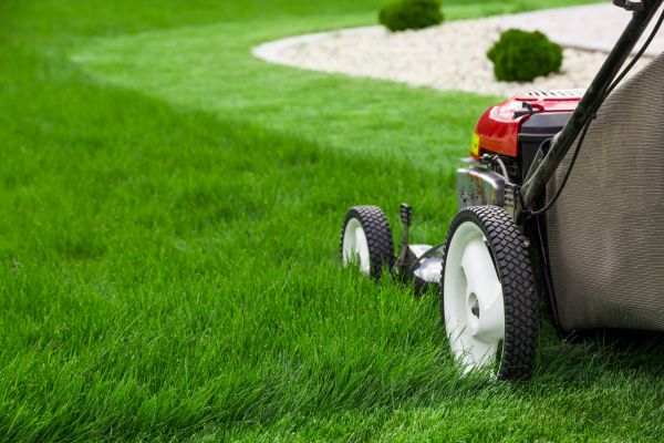 Cost of Grass Cutting Service in Fayetteville