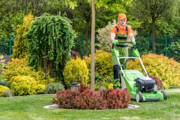 Cost of Yard Service in Fayetteville