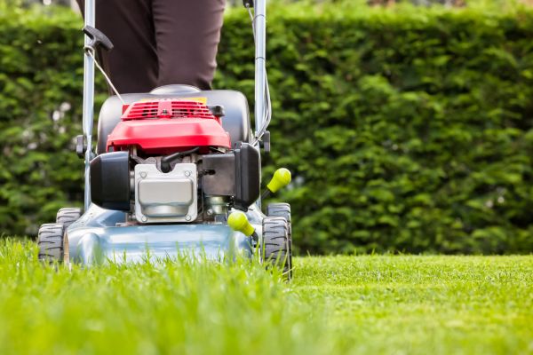 Cost of Grass Trimming Service in Fayetteville