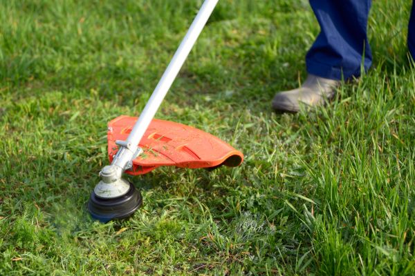 Cost of Lawn Weed Whacking in Fayetteville